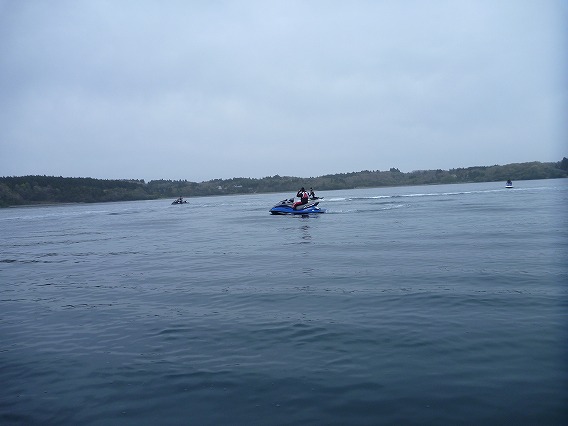 P1030008.jpg