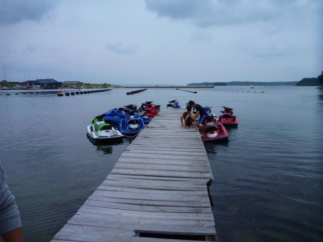 P1030094.jpg