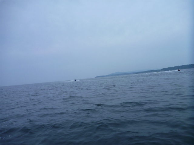 P1030134.jpg
